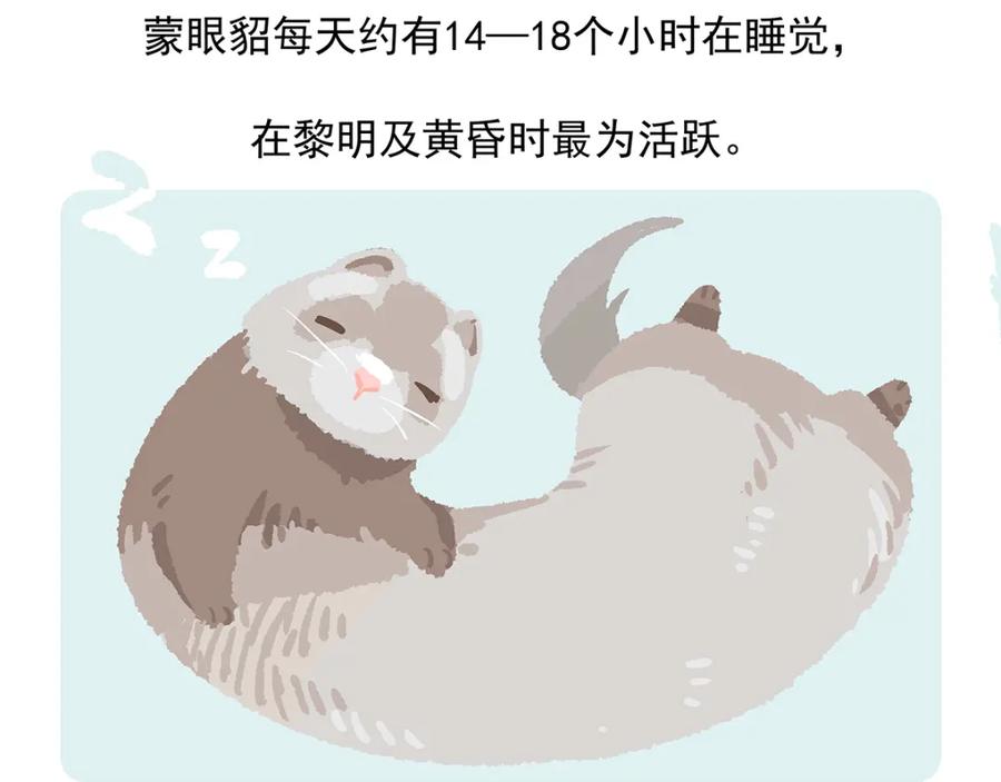 《胖达x胖达》第34话 第28页