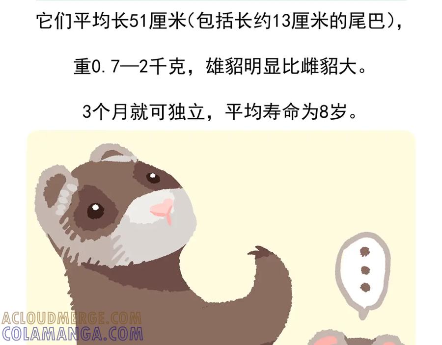 《胖达x胖达》第34话 第29页