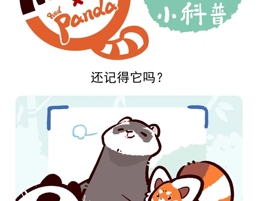 《胖达x胖达》第34话 第20页