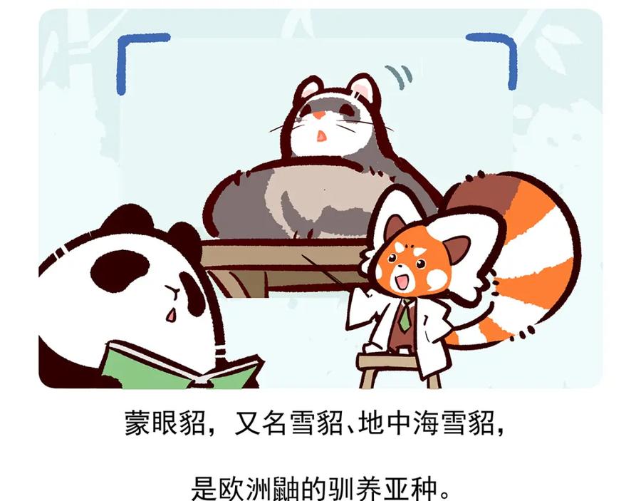 《胖达x胖达》第34话 第14页