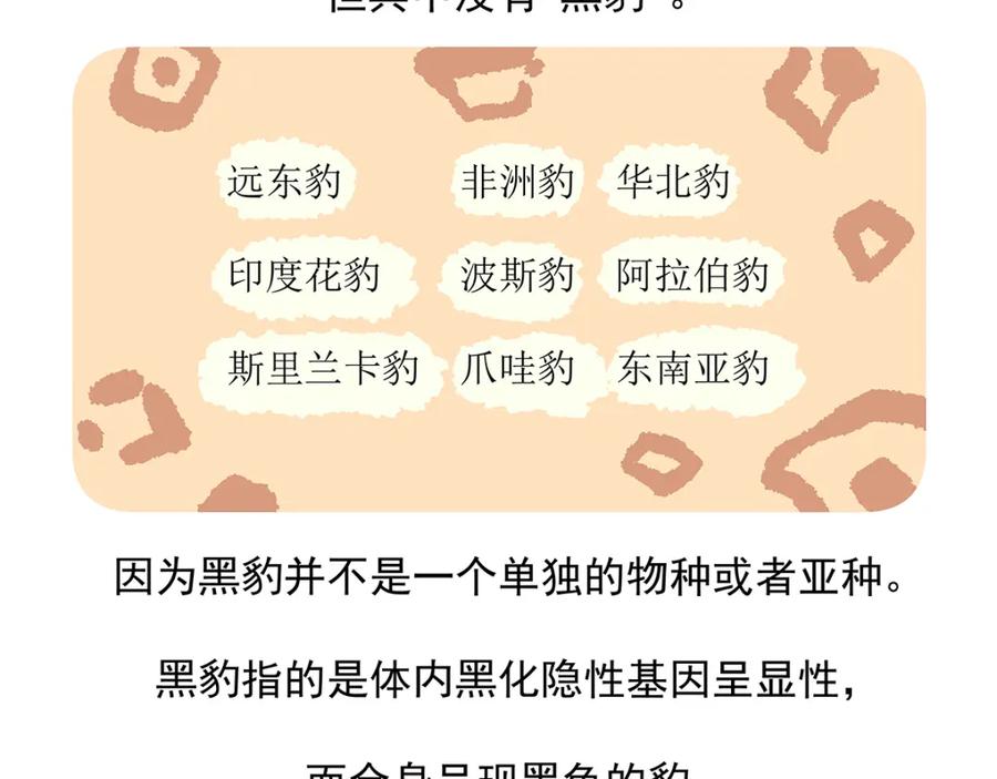《胖达x胖达》第35话 第28页