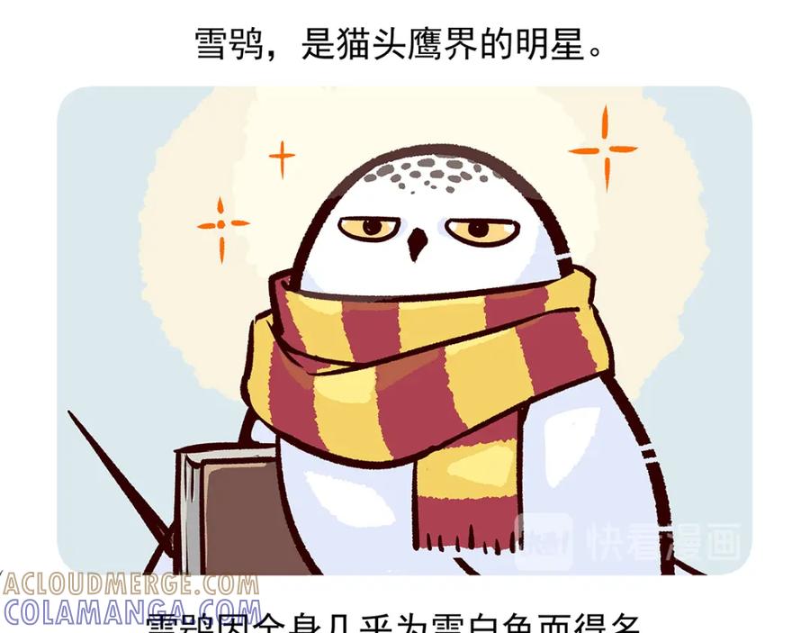 《胖达x胖达》第35话 第21页