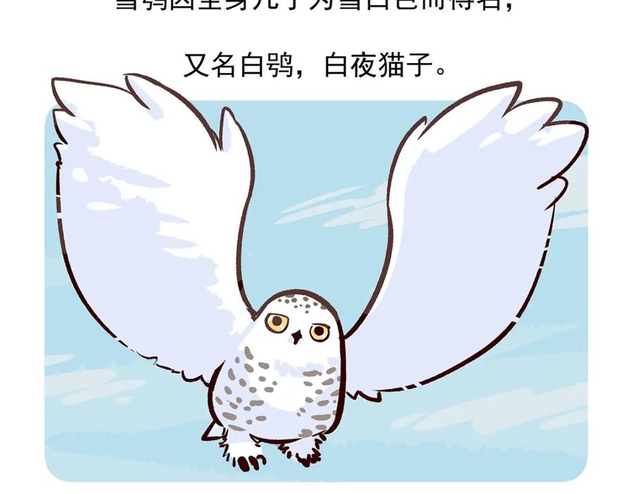 《胖达x胖达》第35话 第22页