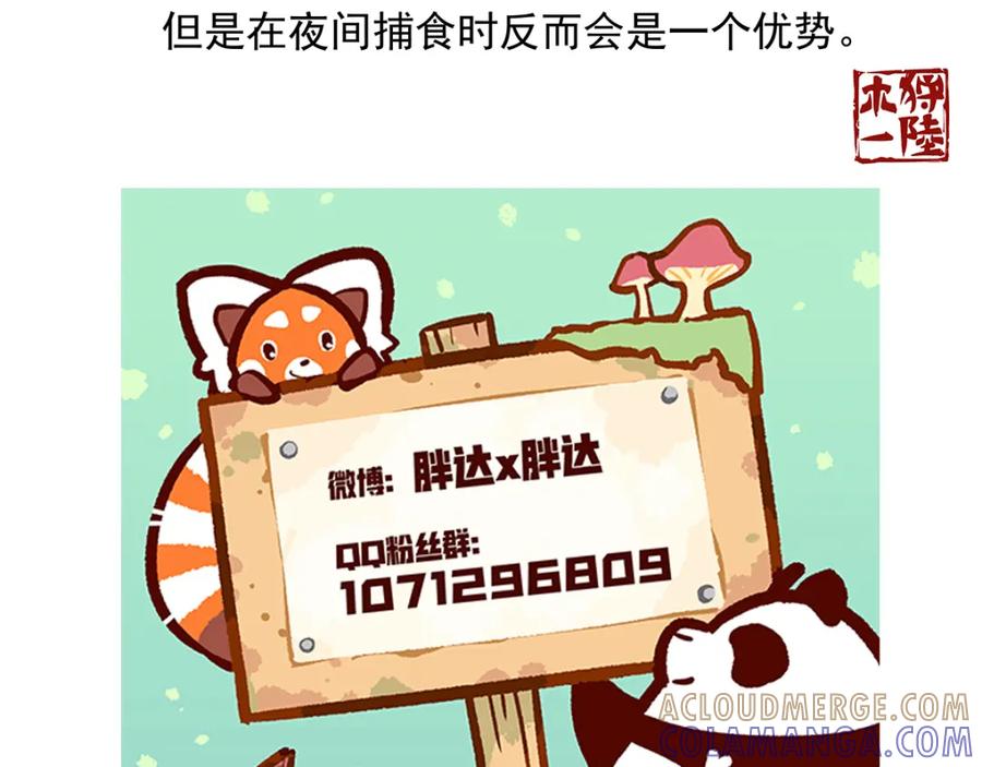 《胖达x胖达》第35话 第33页
