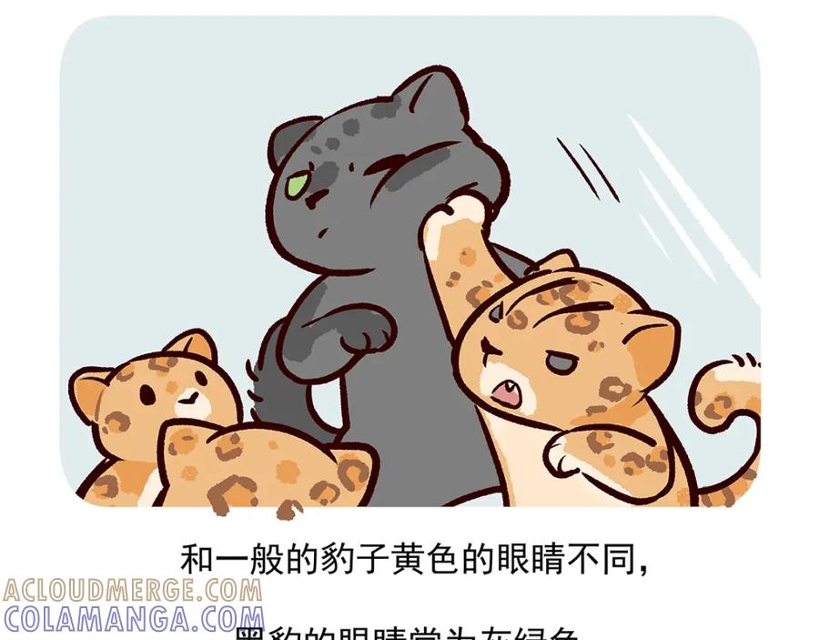《胖达x胖达》第35话 第31页