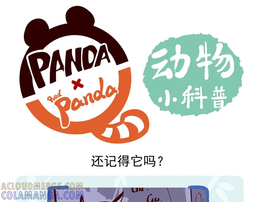 《胖达x胖达》第35话 第19页