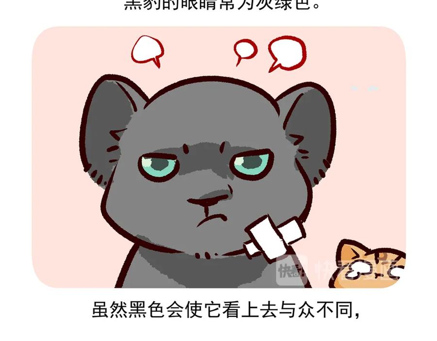 《胖达x胖达》第35话 第32页