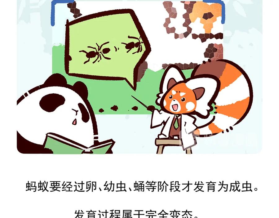 《胖达x胖达》第36话 第20页