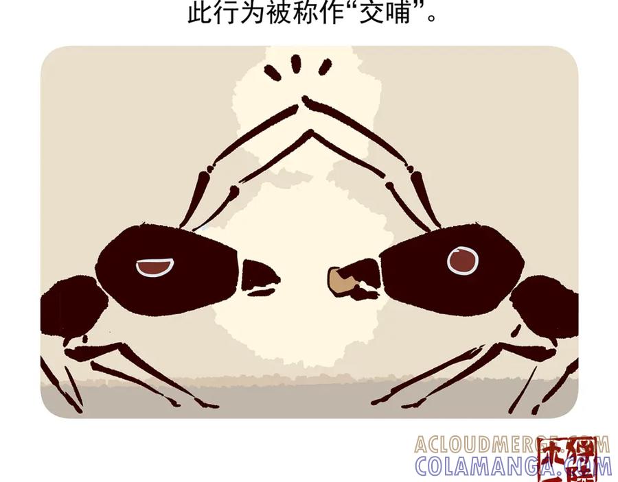《胖达x胖达》第36话 第25页