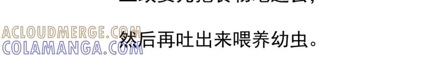 《胖达x胖达》第36话 第23页
