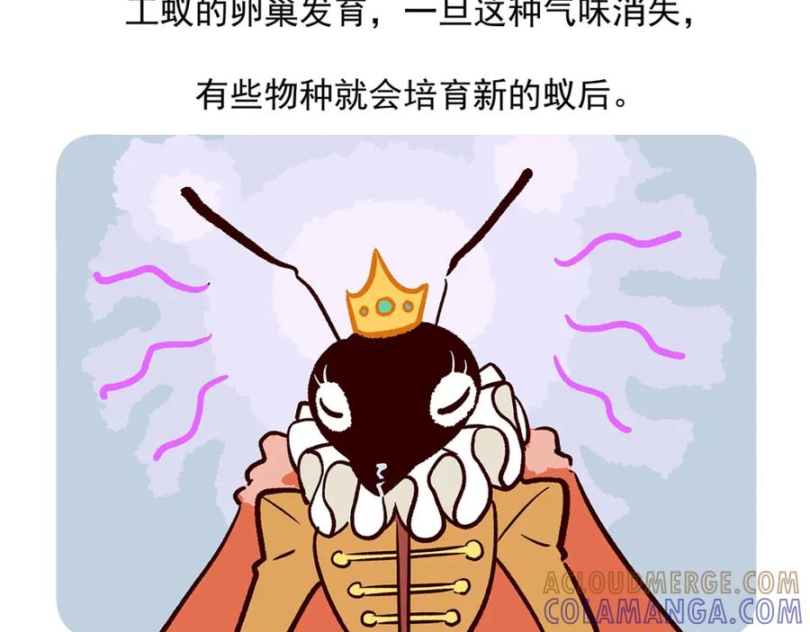 《胖达x胖达》第36话 第33页
