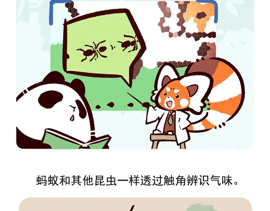 《胖达x胖达》第36话 第28页