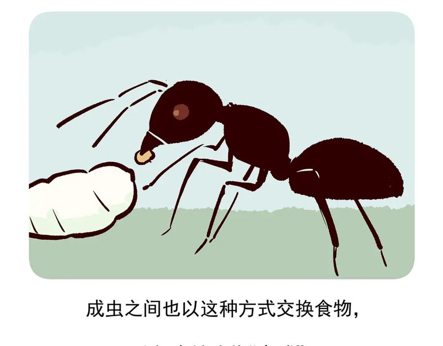 《胖达x胖达》第36话 第24页