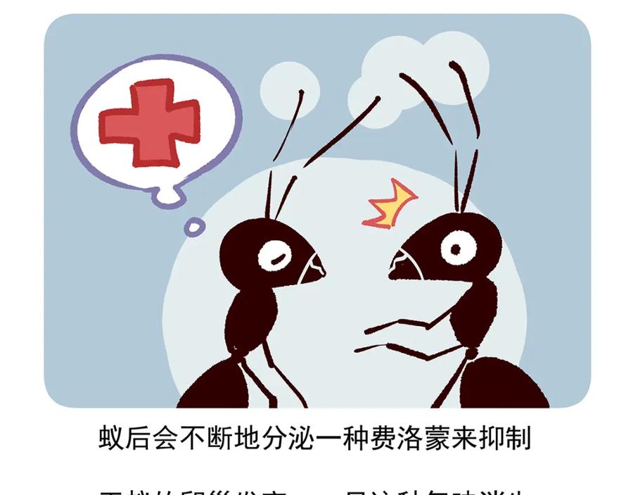 《胖达x胖达》第36话 第32页