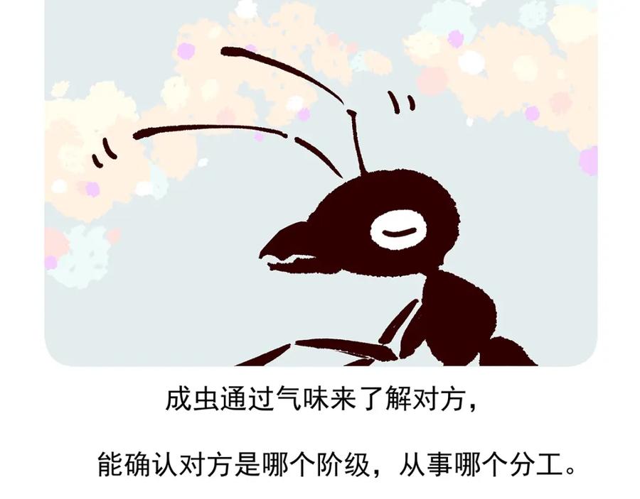 《胖达x胖达》第36话 第30页