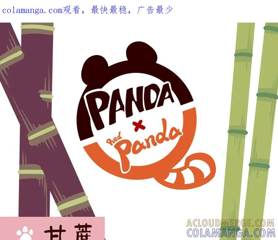 《胖达x胖达》第36话 第1页