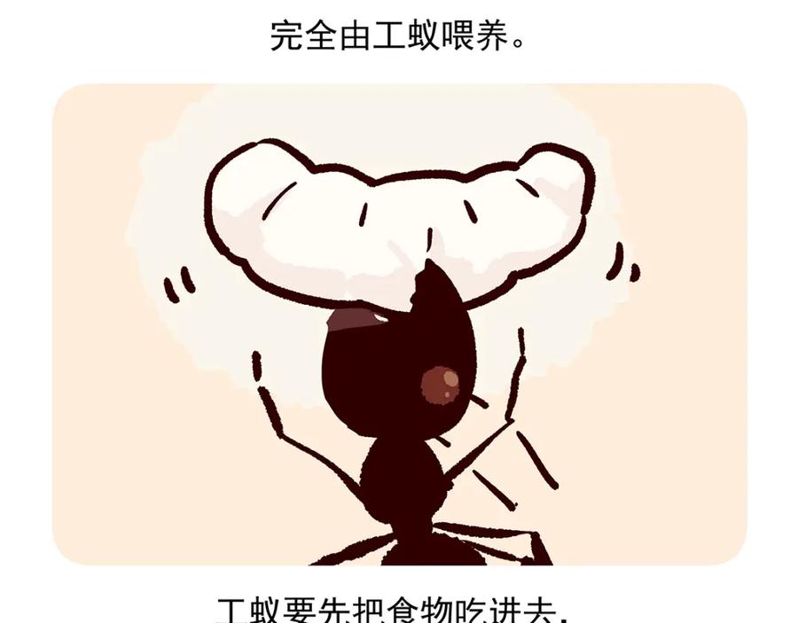 《胖达x胖达》第36话 第22页
