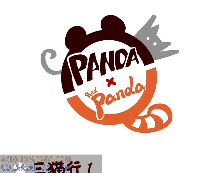 《胖达x胖达》第37话 第13页