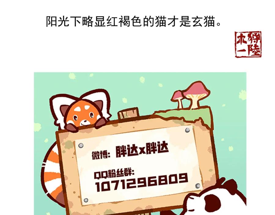 《胖达x胖达》第37话 第32页