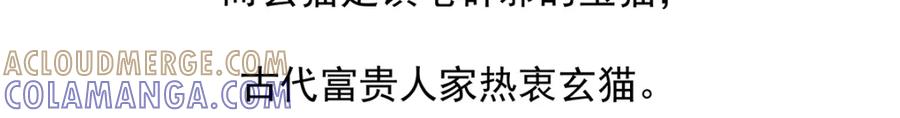 《胖达x胖达》第37话 第29页