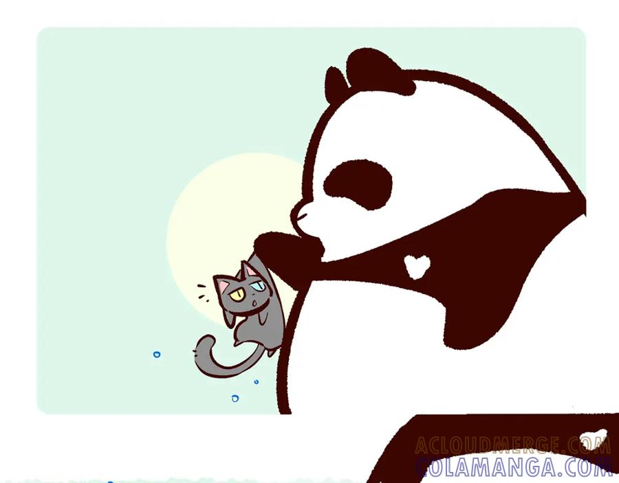 《胖达x胖达》第37话 第5页
