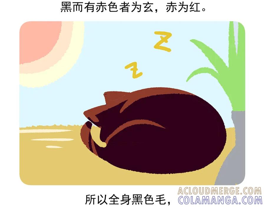 《胖达x胖达》第37话 第31页