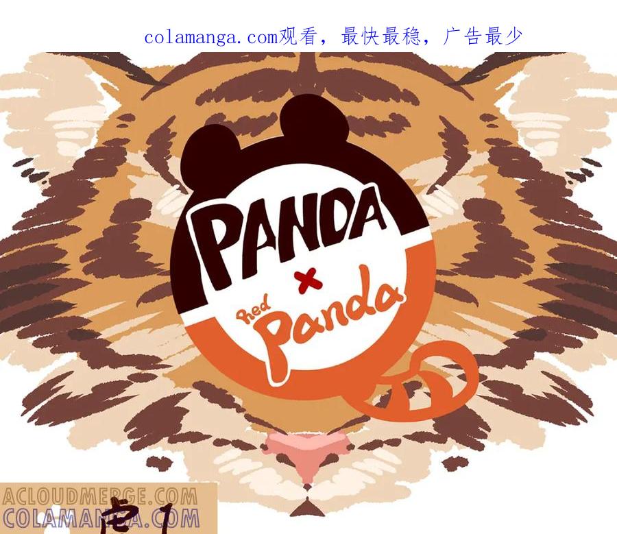 《胖达x胖达》第38话 第1页