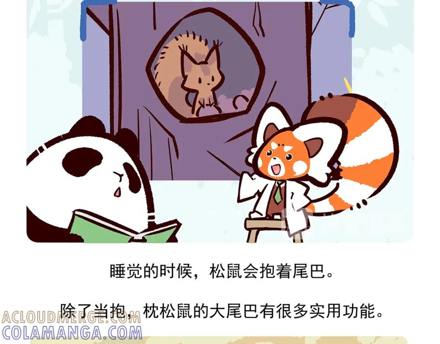 《胖达x胖达》第38话 第29页