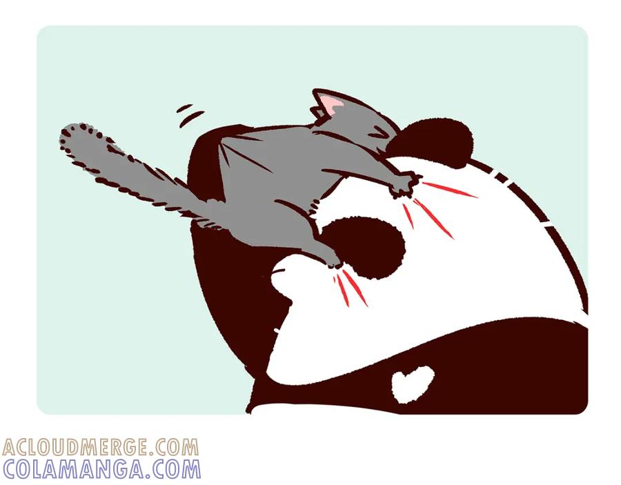《胖达x胖达》第38话 第5页