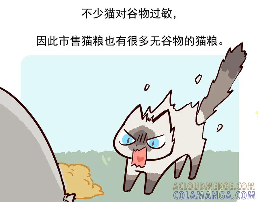 《胖达x胖达》第38话 第25页