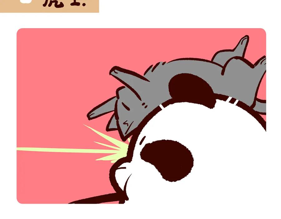 《胖达x胖达》第38话 第2页