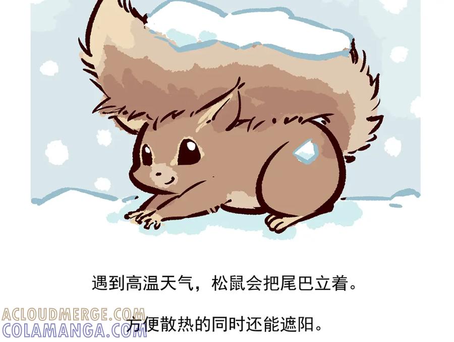 《胖达x胖达》第38话 第31页