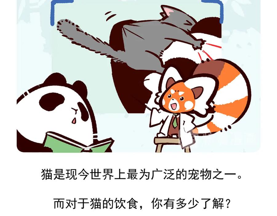 《胖达x胖达》第38话 第22页