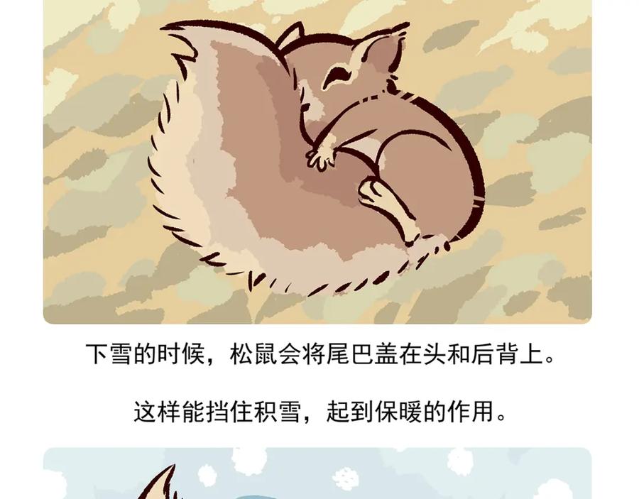 《胖达x胖达》第38话 第30页