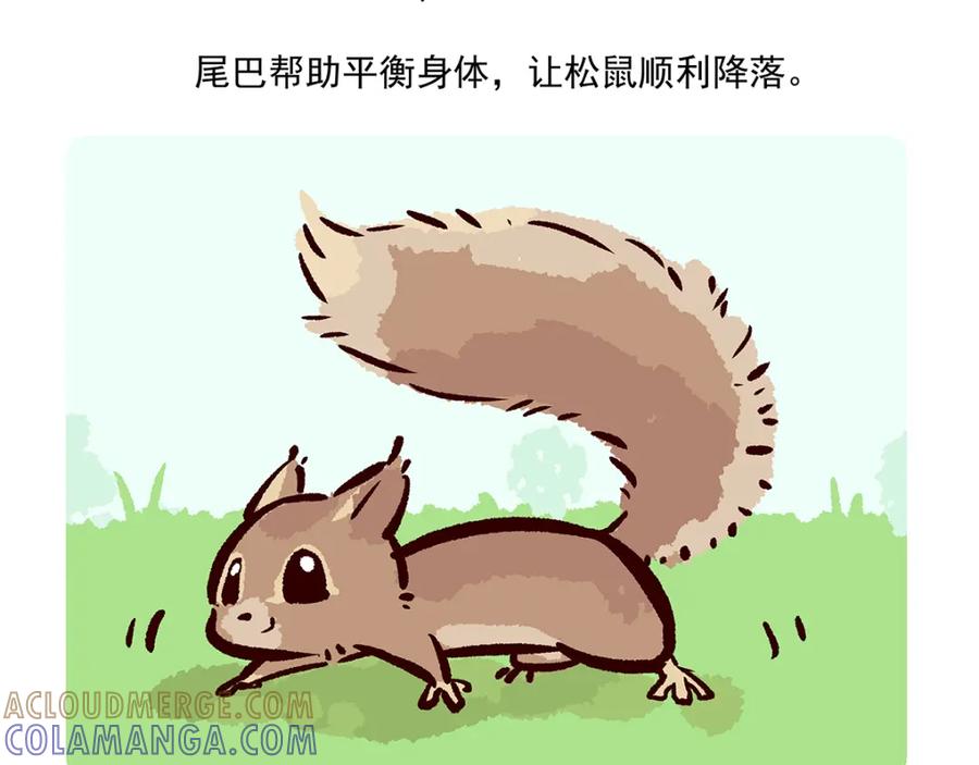 《胖达x胖达》第38话 第33页