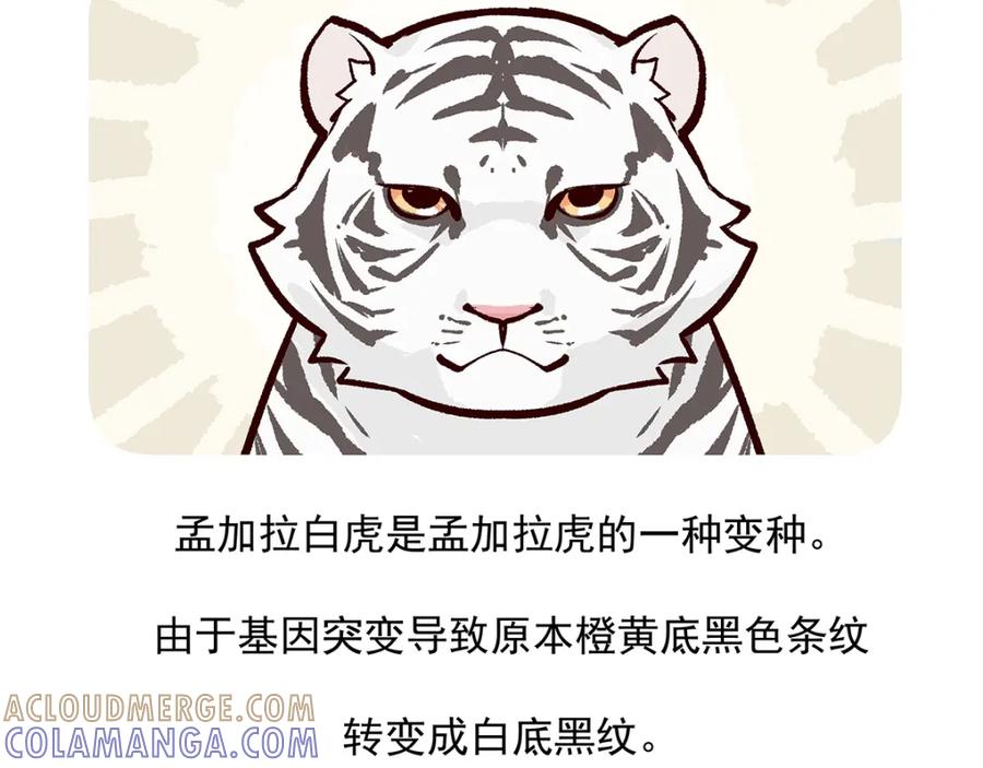 《胖达x胖达》第39话 第29页