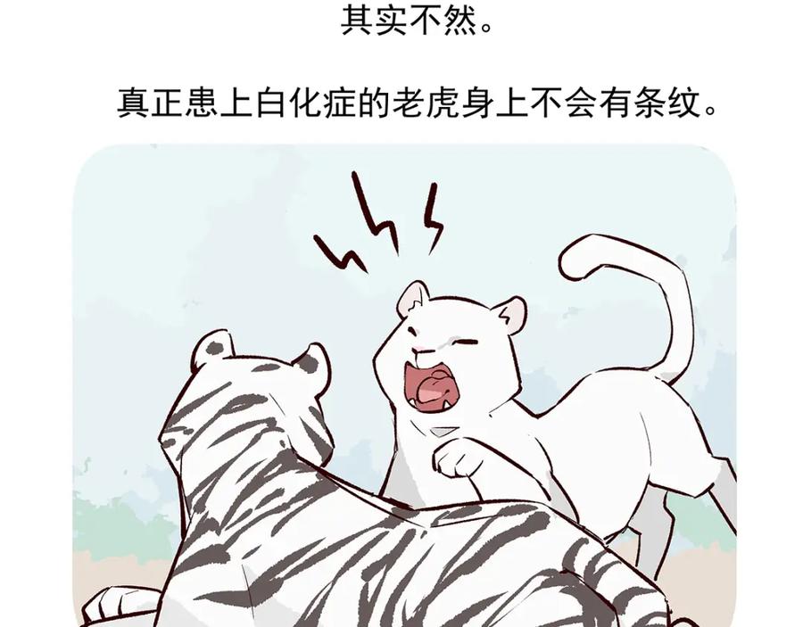 《胖达x胖达》第39话 第32页