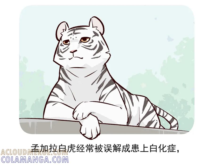 《胖达x胖达》第39话 第31页