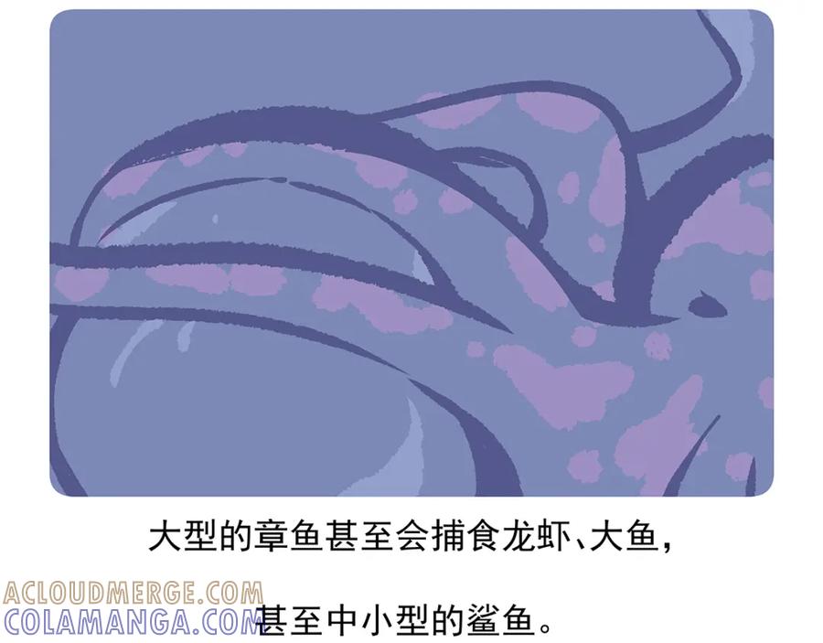 《胖达x胖达》第40话 第31页