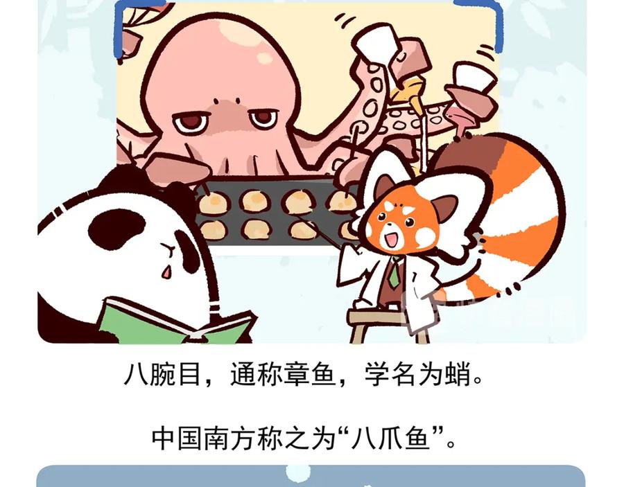 《胖达x胖达》第40话 第20页