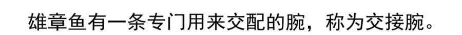 《胖达x胖达》第40话 第23页