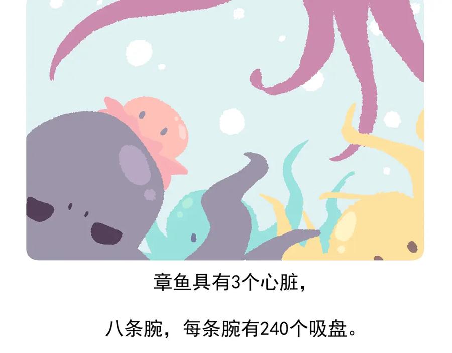《胖达x胖达》第40话 第22页