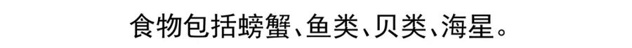 《胖达x胖达》第40话 第30页