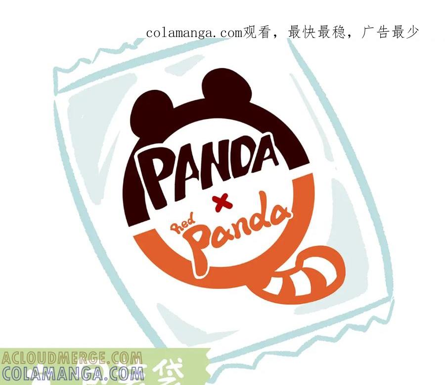 《胖达x胖达》第41话 第1页