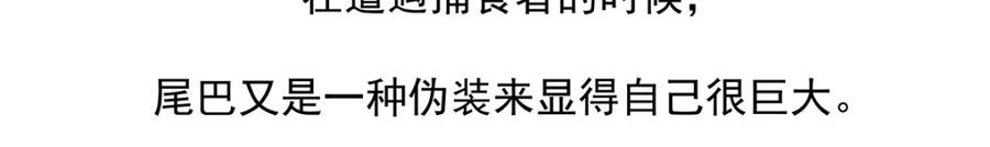 《胖达x胖达》第42话 第30页