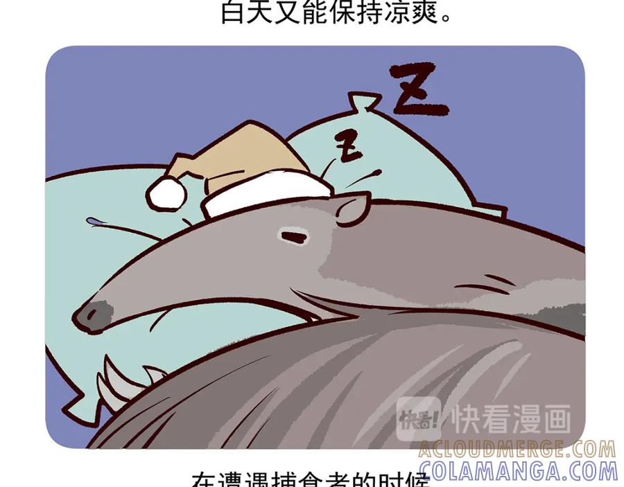 《胖达x胖达》第42话 第29页
