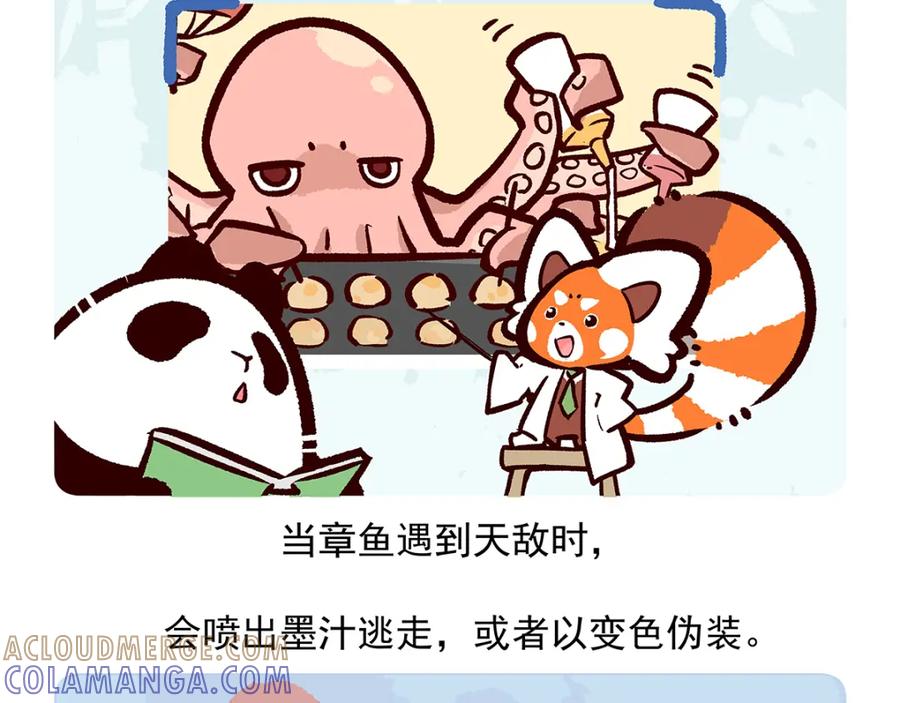 《胖达x胖达》第43话 第21页