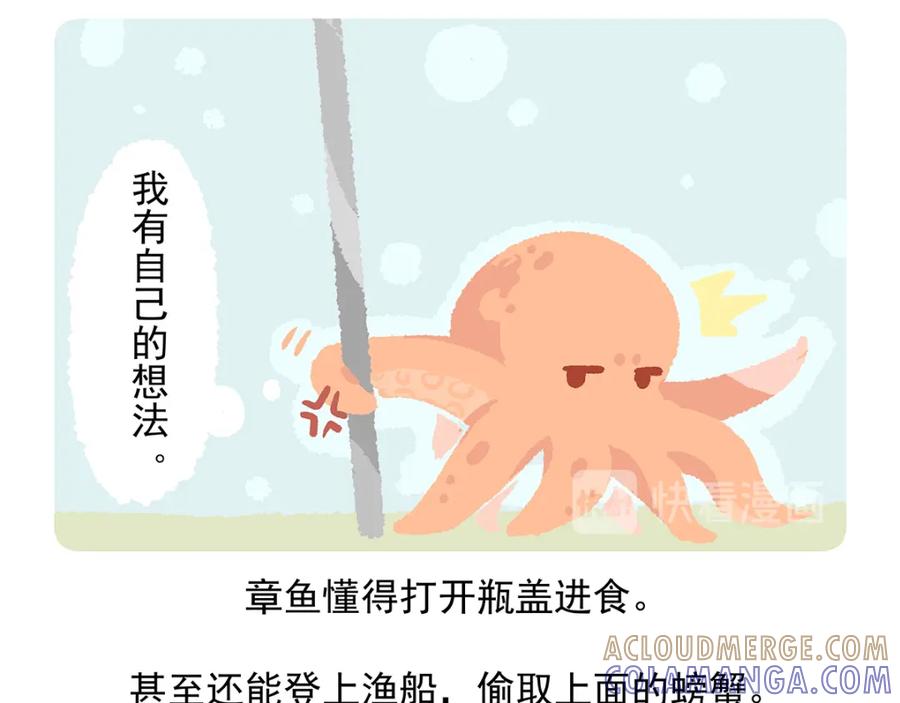 《胖达x胖达》第43话 第17页