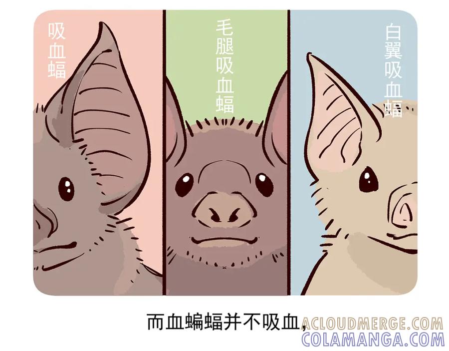 《胖达x胖达》第43话 第31页