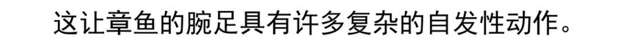 《胖达x胖达》第43话 第16页